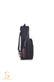BAM ALTO SAXOPHONE CASE SAINT GERMAIN TREKKING  - SG3021S