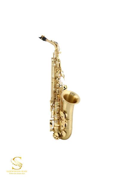 Henri SELMER Paris - Reference 54 tenor saxophone