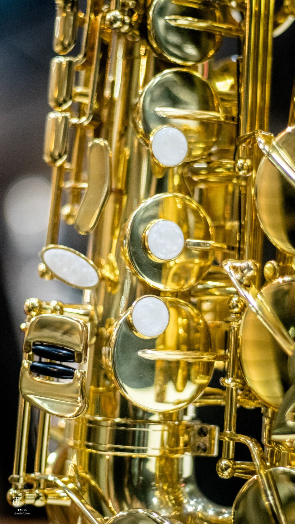 Taiga Alto Saxophone TAS-T1 Gold Lacquer – Saxophonesiam
