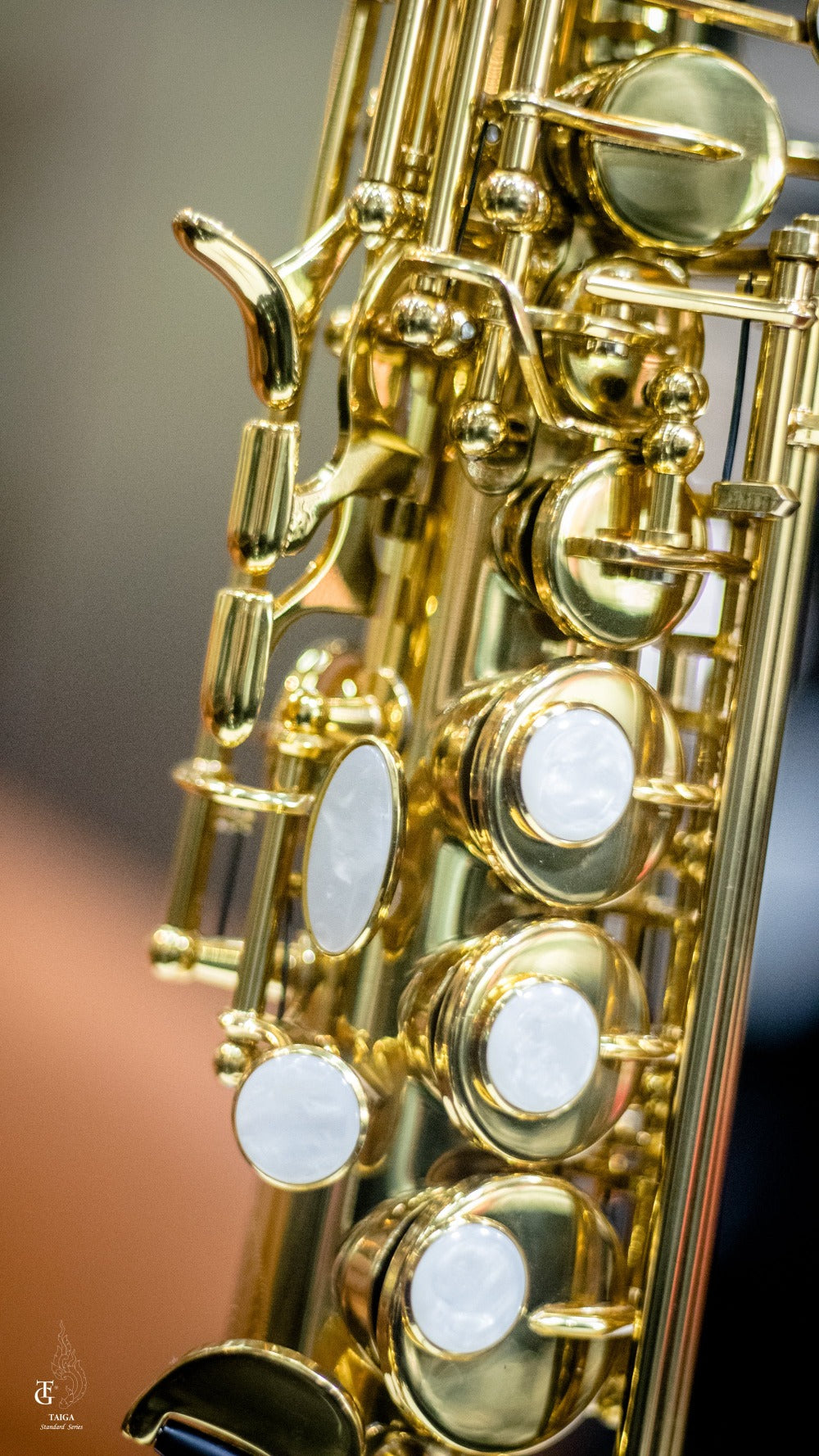 Taiga Soprano Saxophone TSS-T1 Gold Lacquer – Saxophonesiam