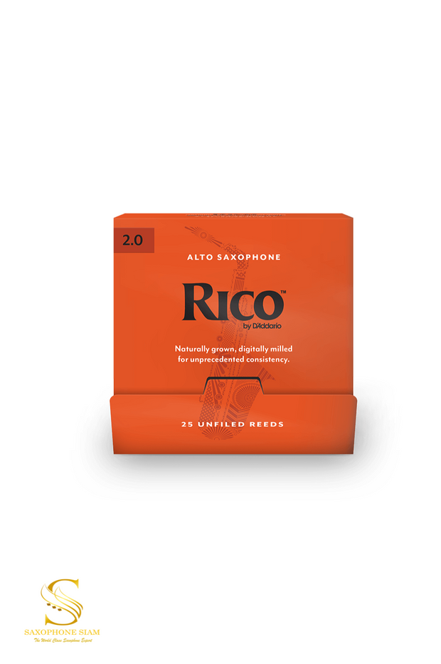 RICO BY D'ADDARIO ALTO SAXOPHONE REEDS (25 PCH) INDIVIDUALLY-SEALED