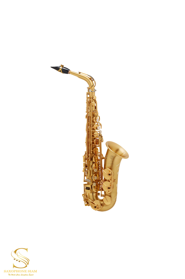 HENRI SELMER PARIS SIGNATURE ALTO SAXOPHONE