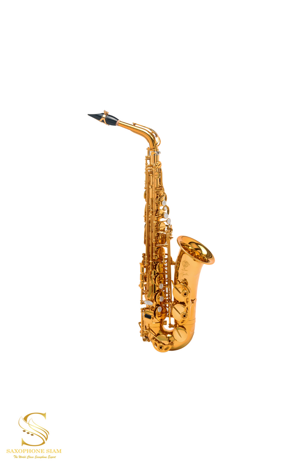 HENRI SELMER PARIS SIGNATURE ALTO SAXOPHONE