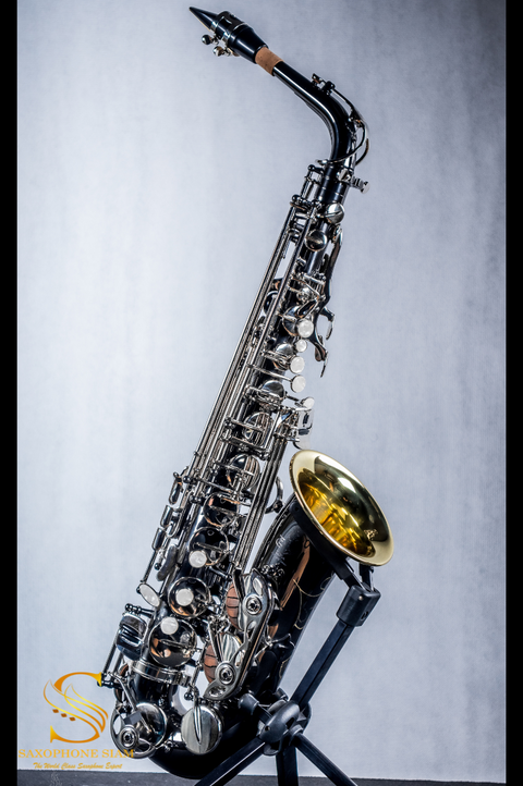 Taiga Alto Saxophone TAS-L1 Black Lacquer