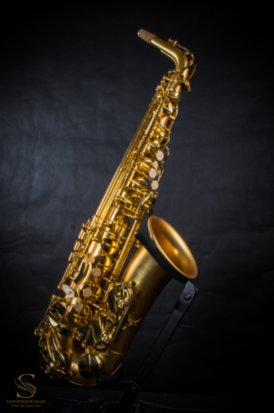 Marienthal ALTO Saxophone MAS - 91 CL