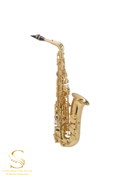 C G. Conn CAS180 Student Alto Saxophone