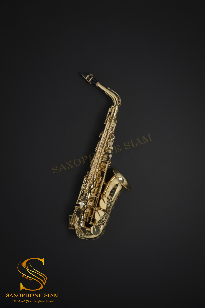 Henri SELMER Paris サックスマウスピース DFN10079A0 Henri Henri SELMER Paris サックスマウスピース DFN10079A0 Henri