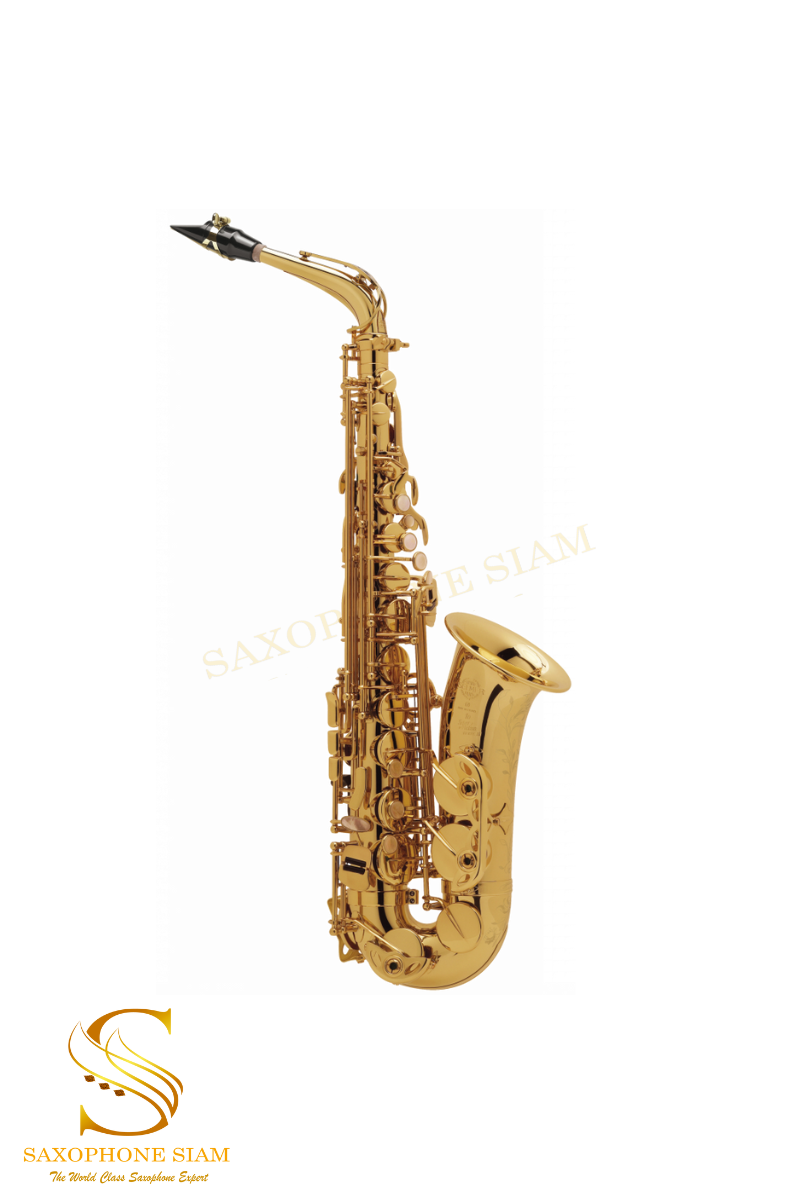 HENRI SELMER PARIS SUPER ACTION 80 SERIE II ALTO SAXOPHONE GOLD PLATED ...