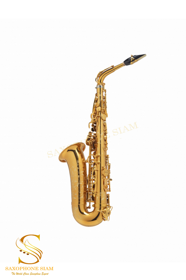 HENRI SELMER PARIS SUPREME ALTO SAXOPHONE GOLD PLATED