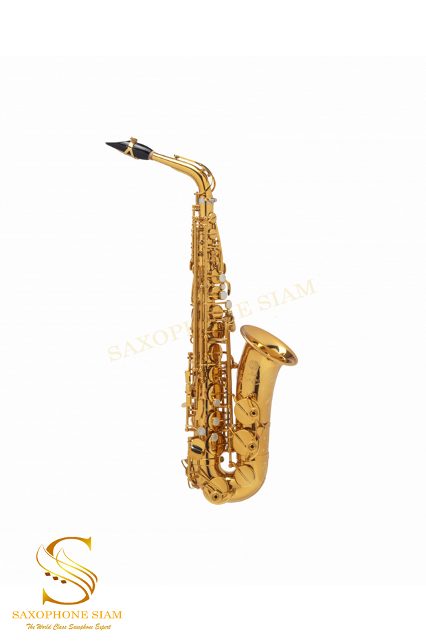 HENRI SELMER PARIS SUPREME ALTO SAXOPHONE GOLD PLATED