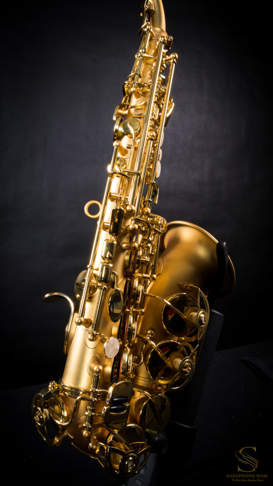 MARIENTHAL CURVED SOPRANO SAXOPHONE MCS - 91 CL