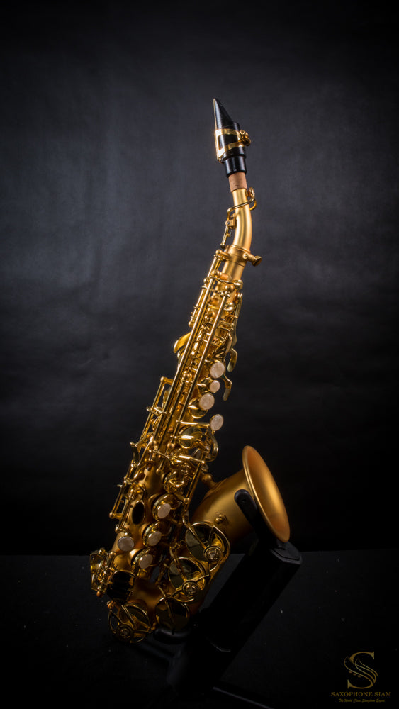 MARIENTHAL CURVED SOPRANO SAXOPHONE MCS - 91 CL