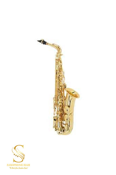 Kenneth KAS-301 Alto Saxophone