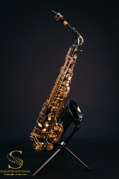 Marienthal Alto Saxophone MAS-91 BL