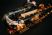 Marienthal Alto Saxophone MAS-91 BL