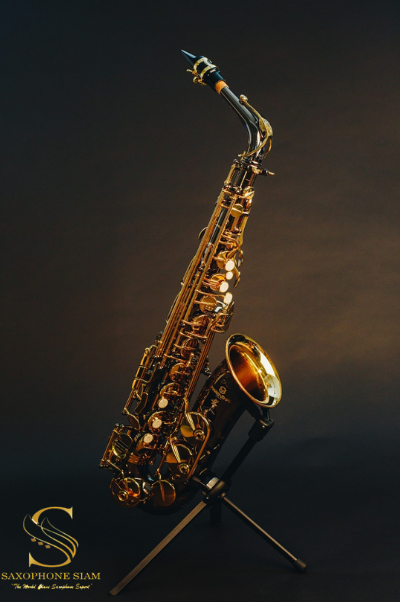 Marienthal Alto Saxophone MAS-93 BL