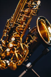 Marienthal Alto Saxophone MAS-93 BL