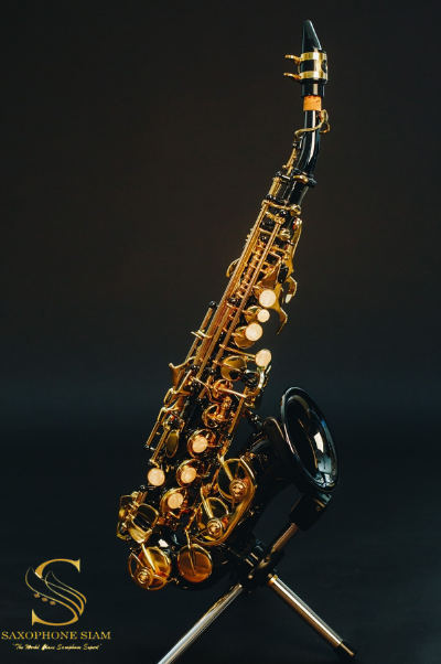 Marienthal  Curved Soprano Saxophone MCS-91 BL