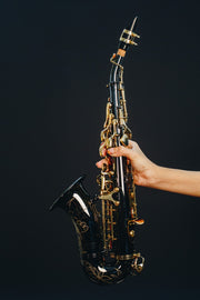 Marienthal  Curved Soprano Saxophone MCS-91 BL