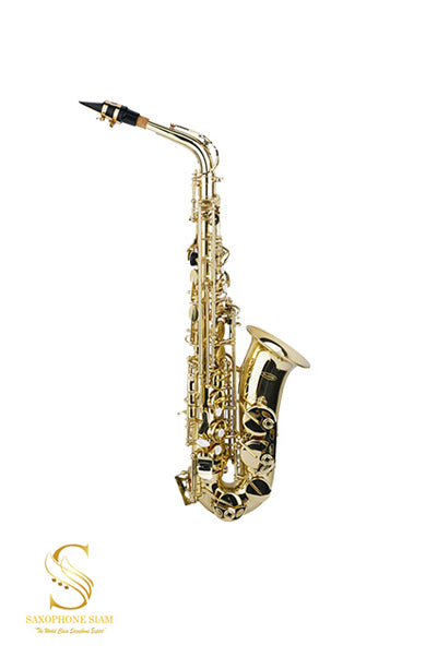 PLAYER PAS-200LI (เคลือบแลคเกอร์) ALTO SAXOPHONE