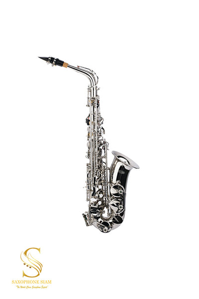 PLAYER PAS-200N ALTO SAXOPHONE