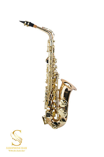 PLAYER PAS-250L (คีย์แล็ค) ALTO SAXOPHONE