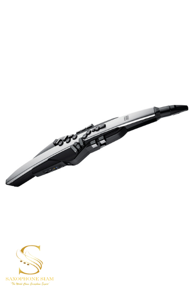 Roland AE-30 Aerophone Pro Digital Wind Instrument