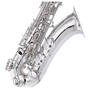 YANAGISAWA Tenor Saxophone T-WO10S