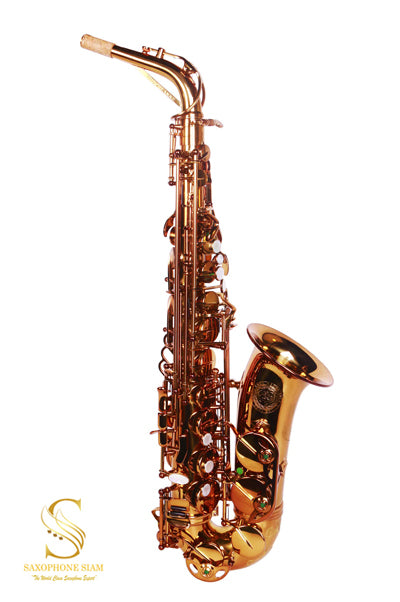 THEO WANNE SHAKTI  DARK GOLD LACQUER ALTO SAXOPHONE