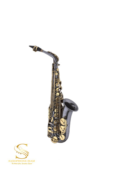 TBS Saxophone  TBA-661BG