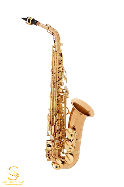 YANAGISAWA ALTO SAXOPHONE A-WO20 Bronze