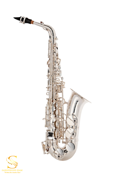 YANAGISAWA ALTO SAXOPHONE A WO20S Silver Saxophonesiam