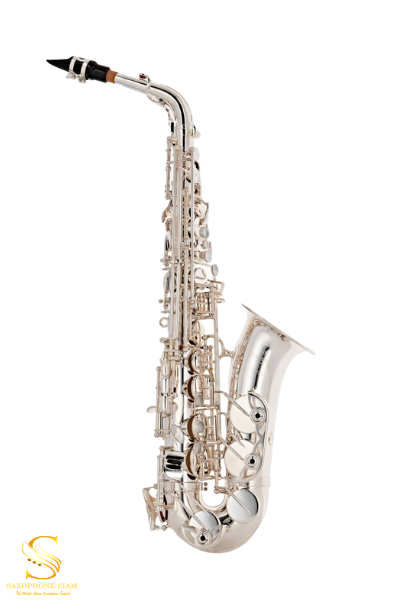 YANAGISAWA ALTO SAXOPHONE A-WO20S Silver