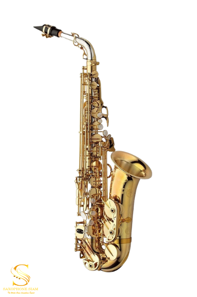 YANAGISAWA ALTO SAXOPHONE AWO30