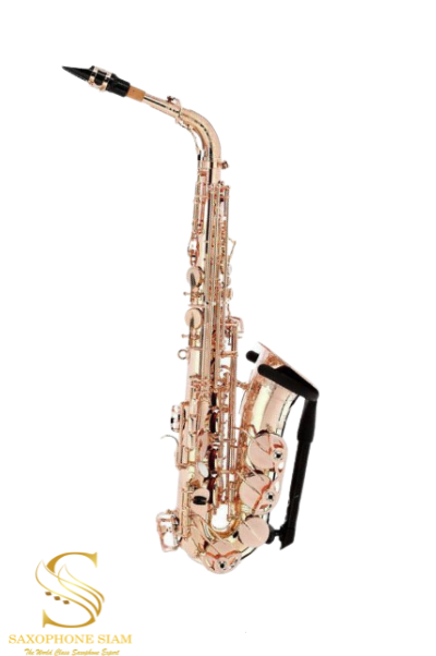 YANAGISAWA Alto SAXOPHONE A-WO37 PG