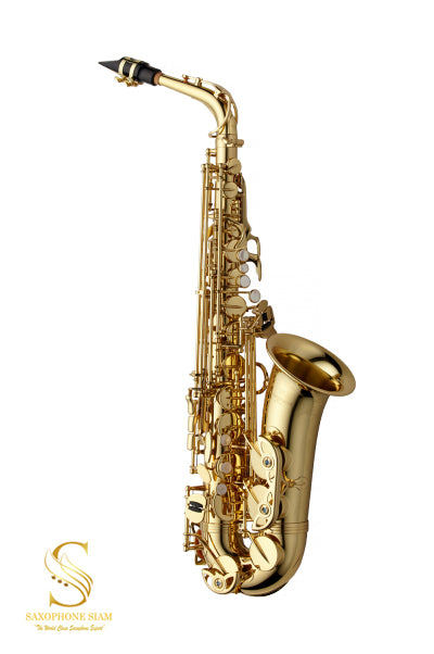 YANAGISAWA Alto Saxophone  A-WO1