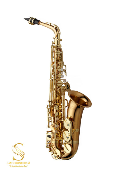 YANAGISAWA Alto Saxophone A-WO2