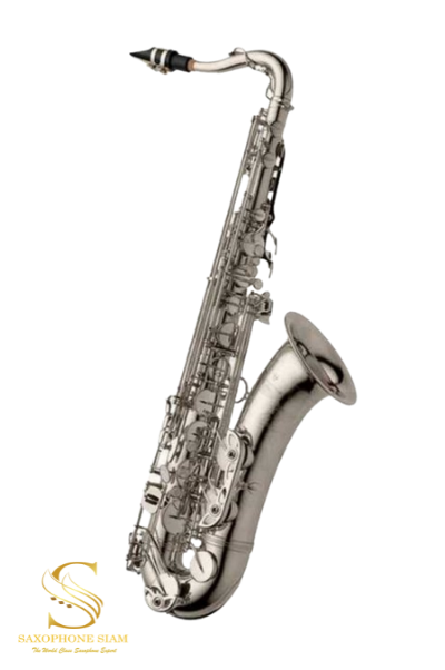 YANAGISAWA TWO20S Tenor sax