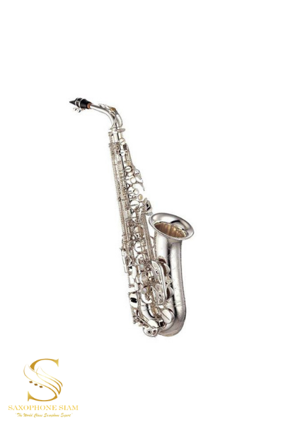 YAMAHA Alto Saxophone Custom YAS-875EXS