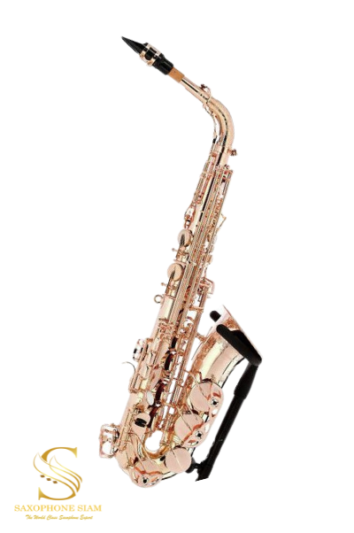 YANAGISAWA ALTO SAXOPHONE A-WO35