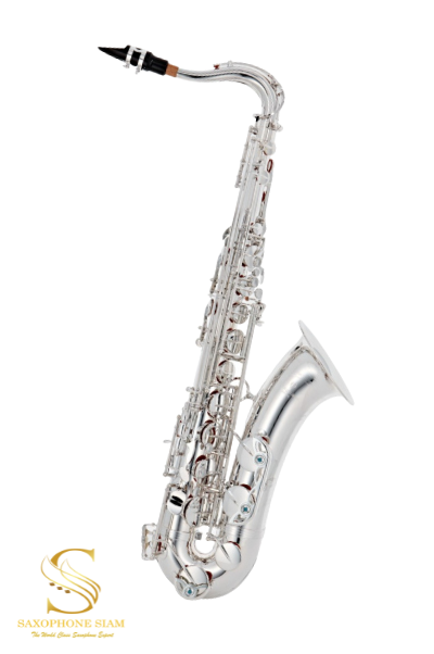 Yanagisawa Tenor Sax - T-WO1S