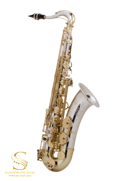 Yanagisawa Tenor Saxophone TWO35 Professional 