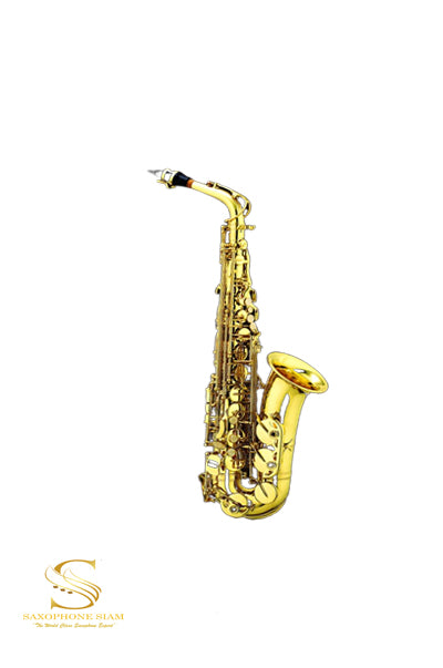 TBS Saxophone  TBA-661Q