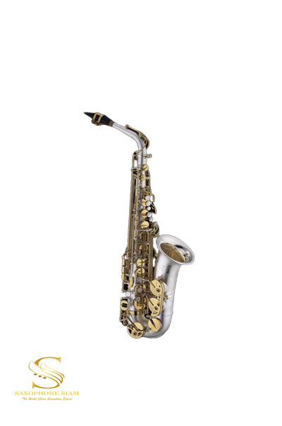 TBS Saxophone TBA-663Q