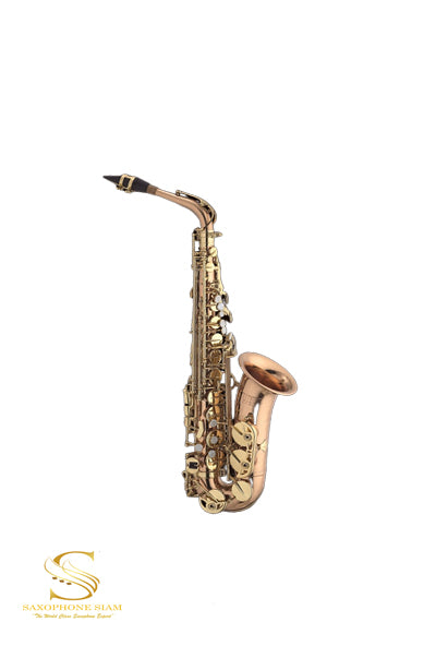 TBS Saxophone  TBA-662Q