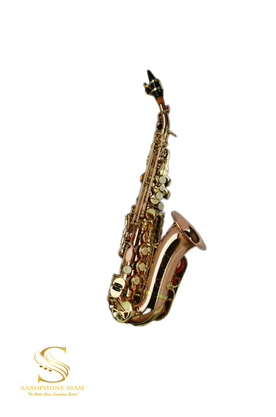 TBS Saxophone  TBSC-102Q